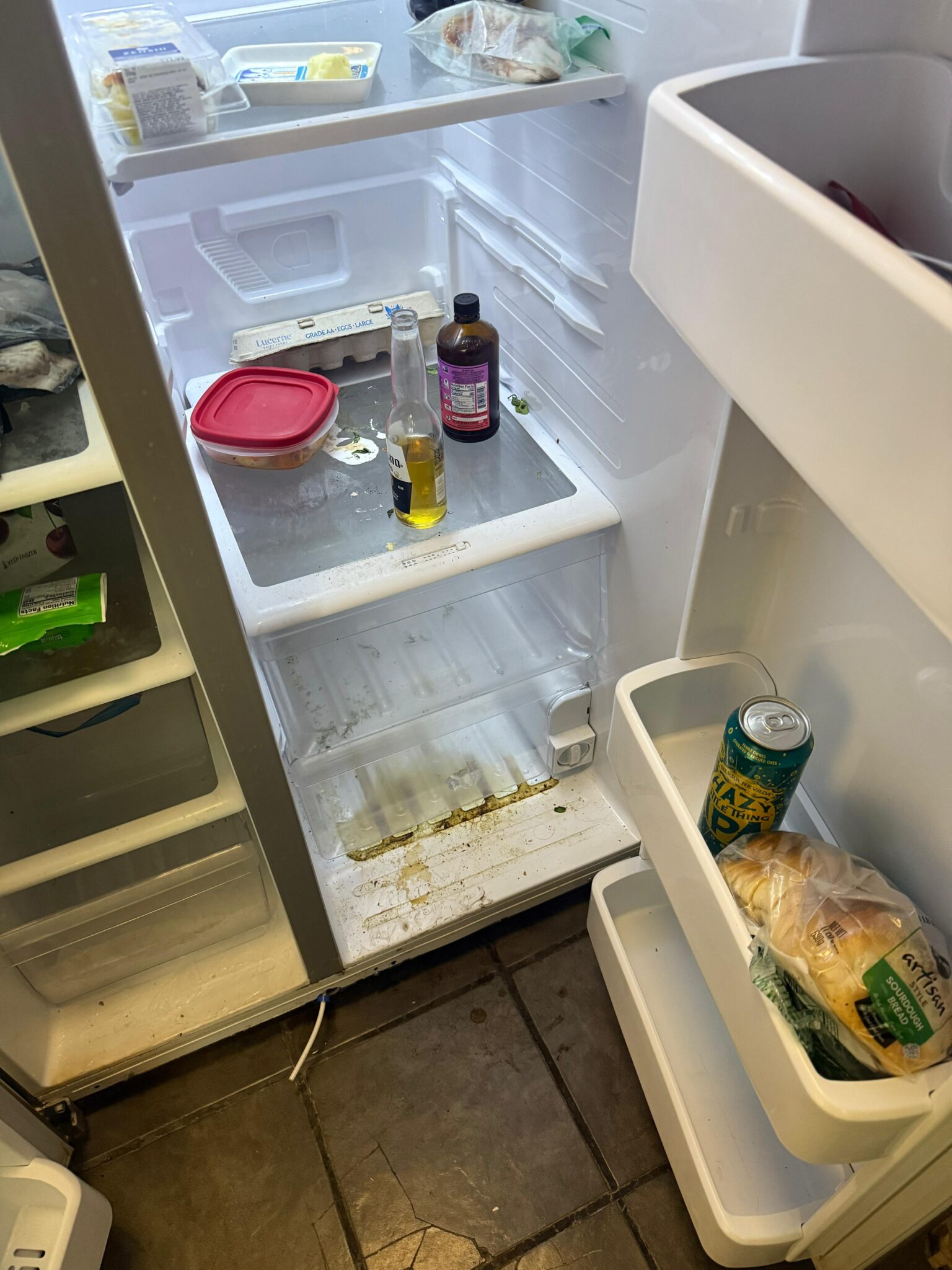 WhatsApp Image 2026-03-30 at 22.39.12 (1)